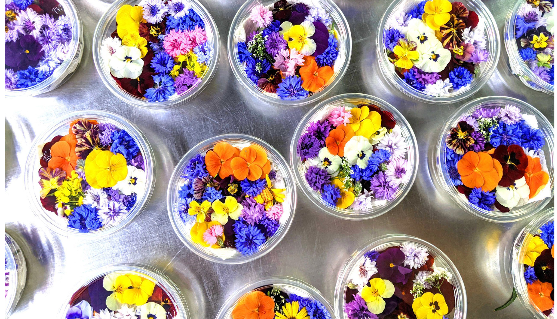 flowers edible https://fruitlogistics.gr/wp-content/uploads/2023/12/flowers-edible.jpg