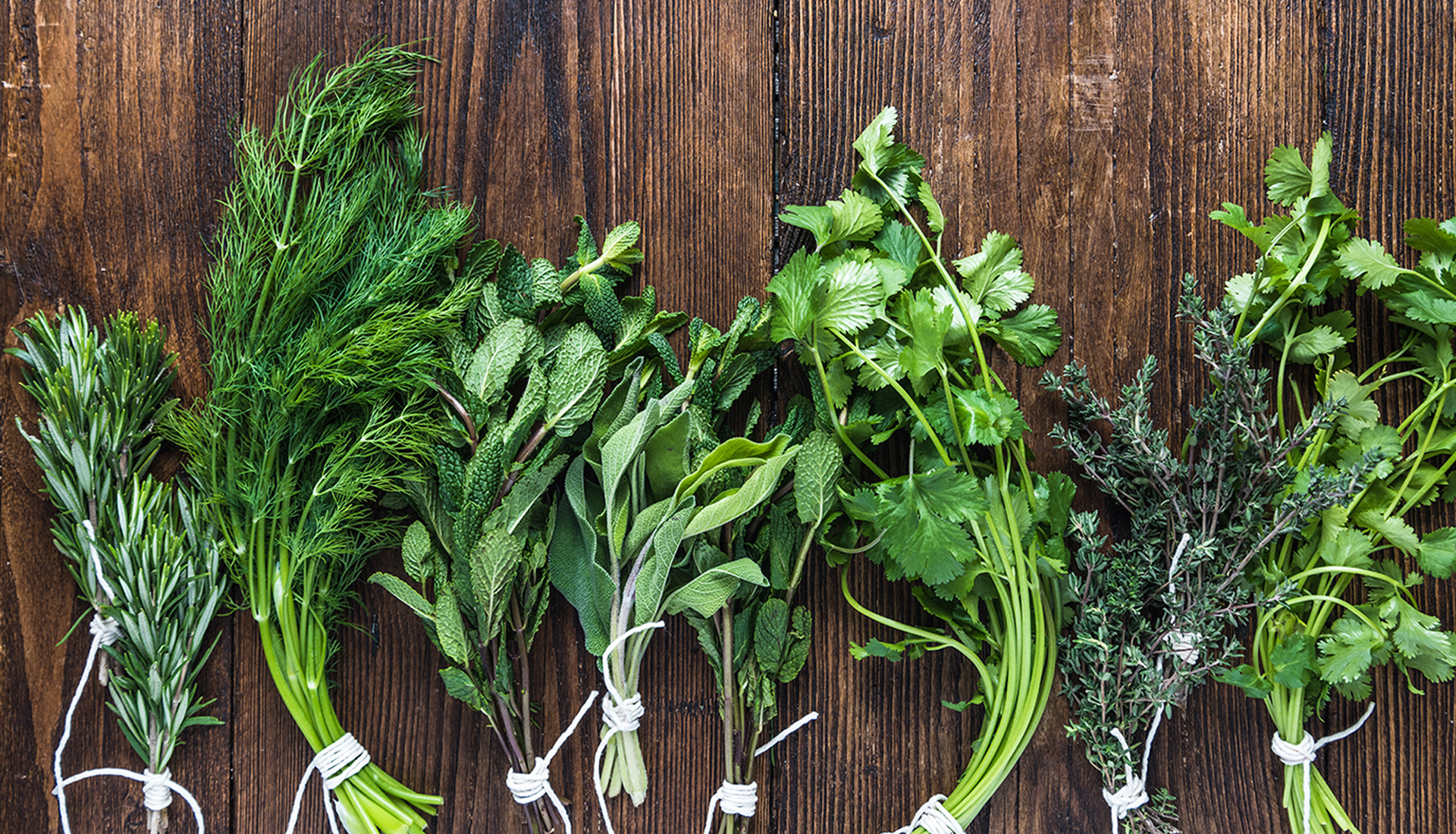 herbs https://fruitlogistics.gr/wp-content/uploads/2023/12/herbs.jpg